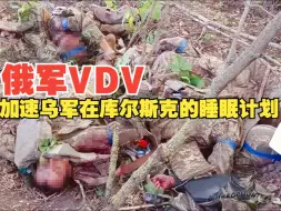 Download Video: 俄军VDV在库尔斯克的反攻中大干特干！810海步旅也在反攻中俘虏了6名乌军！