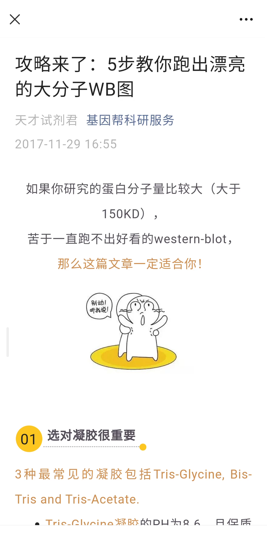 大分子蛋白WB 攻略哔哩哔哩bilibili