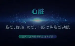 Download Video: 胸部，腹部，盆部，下肢动脉 胸部动脉   心脏   系统解剖学