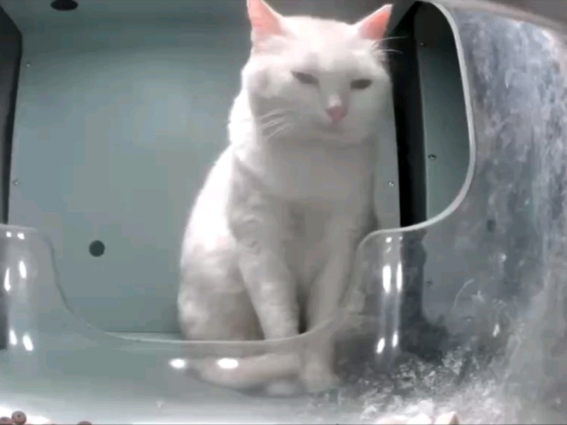 第一次见微笑姐营业失败哈哈哈哈