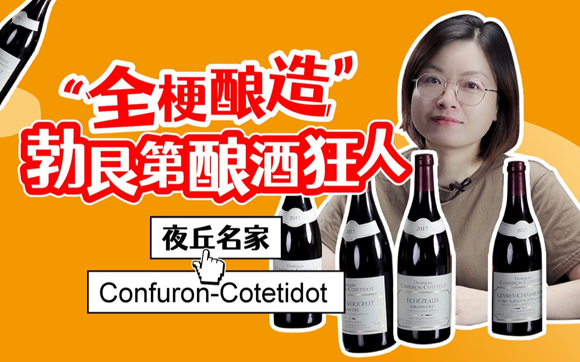 与乐桦Leroy一样全梗酿造的勃艮第夜丘名家 ConfuronCotetidot康菲弘酒庄哔哩哔哩bilibili