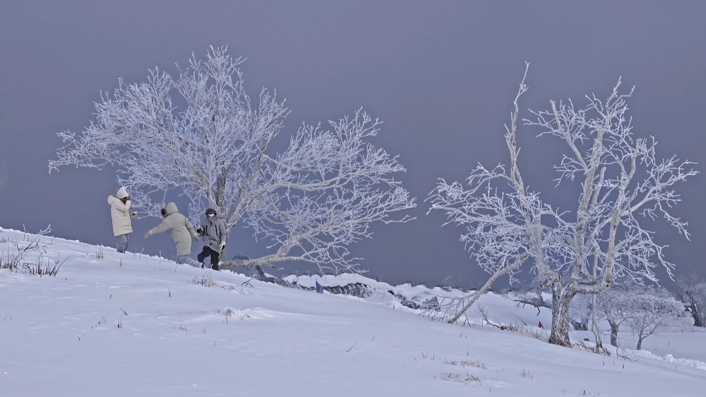 雪乡大秃顶子山 倍受小土豆们青睐的冰雪旅游目的地