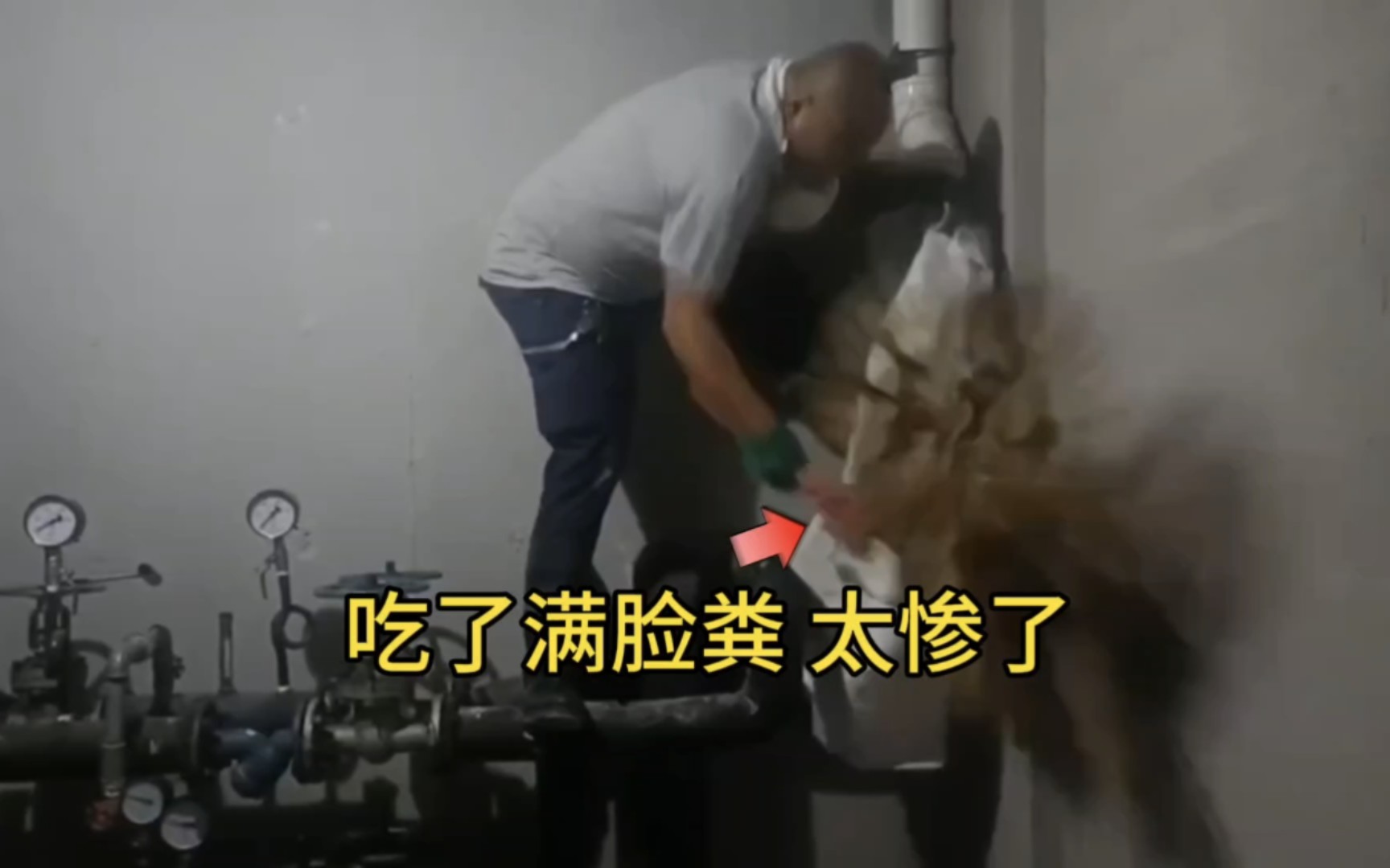 卧槽!这一爆吃了满脸粪,太惨了