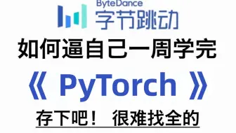 【2024最新】不要再看那些过时的PyTorch老教程了，深度学习PyTorch入门实战计算机视觉最新版全套教程(人工智能机器视觉教程)