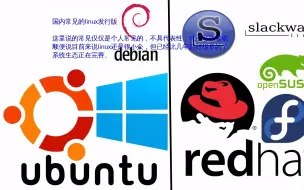 下载视频: 常见的linux发行版