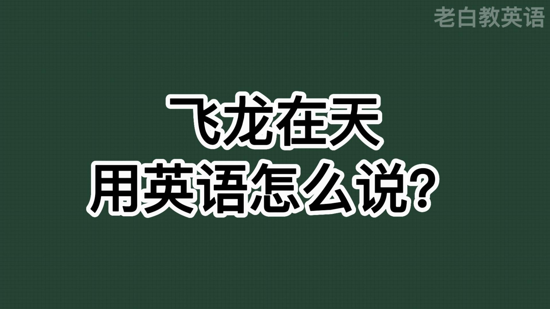 飞龙在天用英语怎么说?哔哩哔哩bilibili