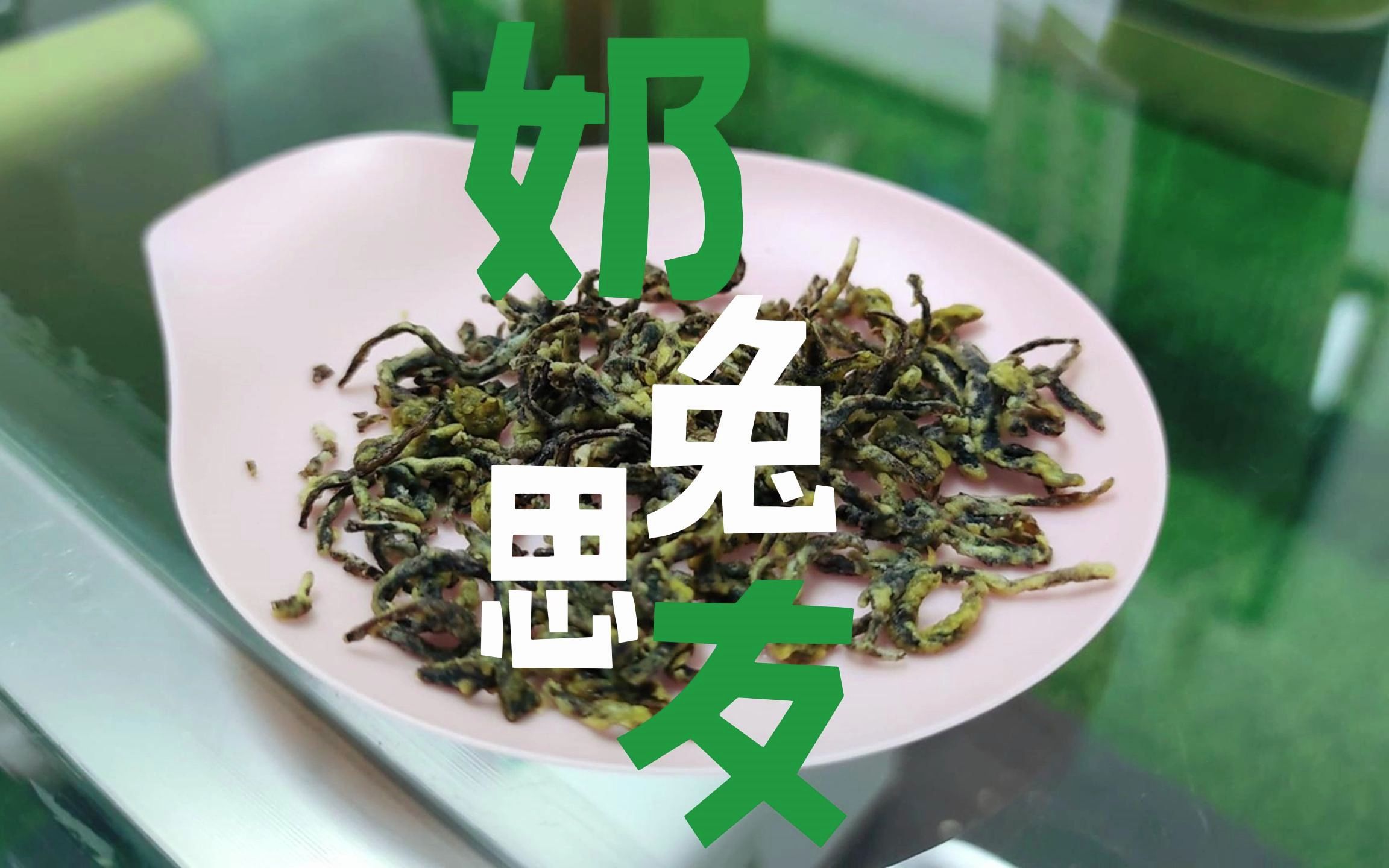 用六堡茶作为茶底的奶茶你喝过吗?哔哩哔哩bilibili