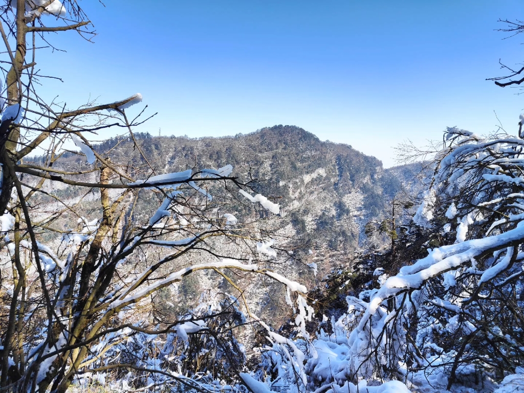 2023年1月7日爬峨眉山.峨眉山是四川省乐山地级市峨眉山县级市,最高峰是金顶.3077米哔哩哔哩bilibili