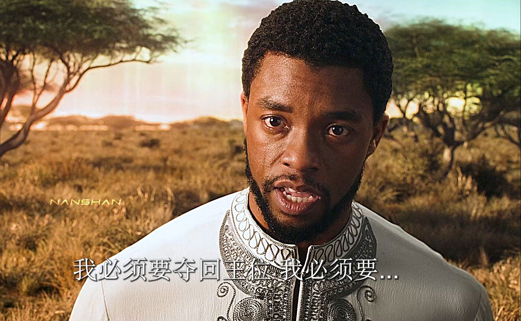 [图]"瓦坎达永远的King，致敬黑豹Black Panther"