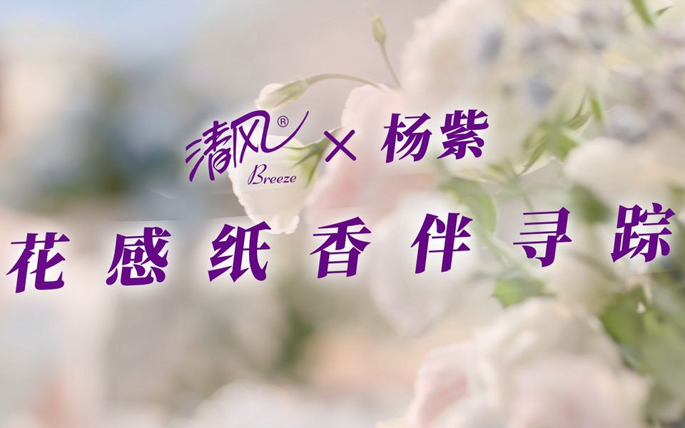 花感纸香伴寻踪完整版哔哩哔哩bilibili