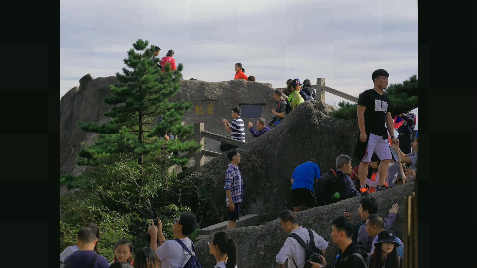 黃山 光明頂 迎客松