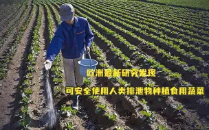 Video herunterladen: 欧洲最新研究发现：可安全使用人类排泄物种植食用蔬菜，网友祝贺：你们可算发现了