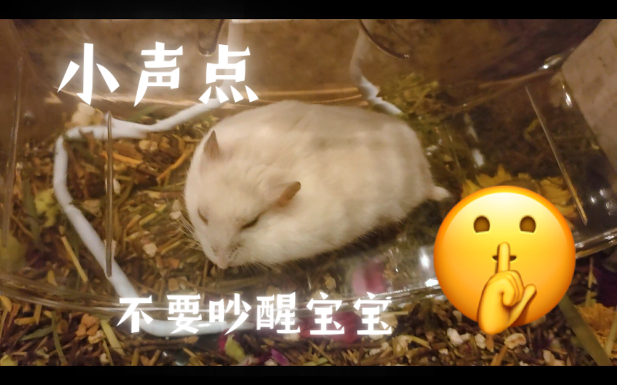 嘘 不要吵醒宝宝睡觉哦哔哩哔哩bilibili