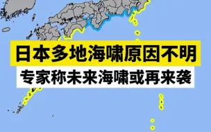 下载视频: 日本多地海啸原因不明，专家称未来海啸或再来袭