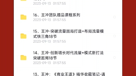 王冲全部课程全套27种盈利模式199营销商业模式落地方案冲出重围哔哩哔哩bilibili