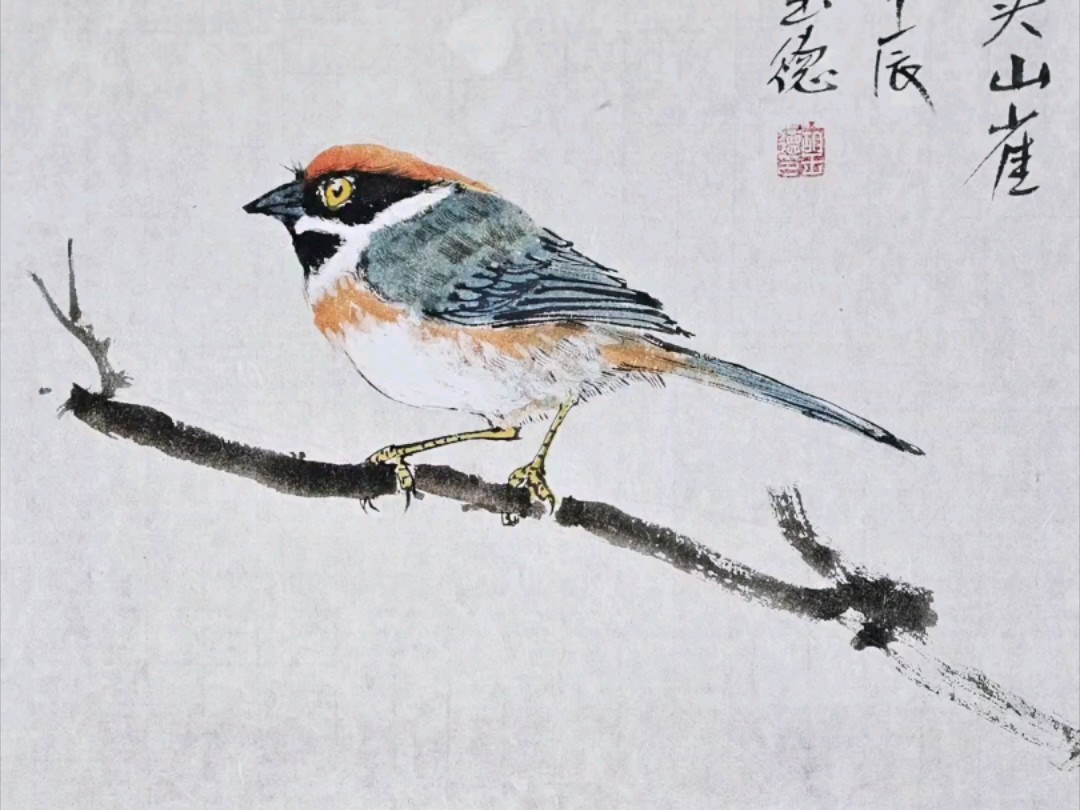 《愤怒的小鸟》胡玉德老师红头长尾山雀国画小写意作品