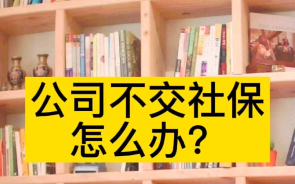 公司不交社保怎么办?越来越多的企业为了节省成本,甚至要求员工签订协议要求放弃社保,你遇到这种情况了吗?哔哩哔哩bilibili