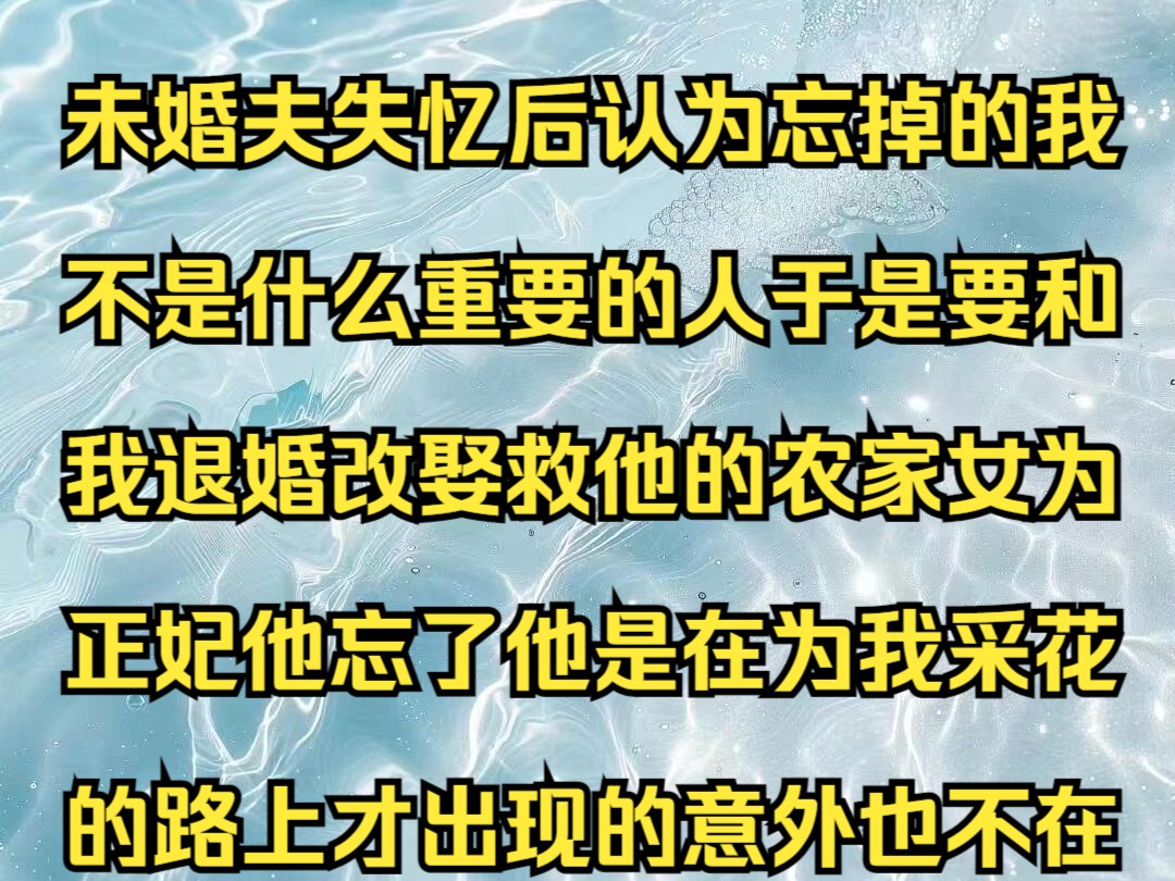 星河遗忘 未婚夫失忆后认为忘掉的我不是什么重要的人,于是要和我退婚改娶救他的农家女的正妃,他忘了他是在为我采花的路上才出现的意外,也不在乎明...