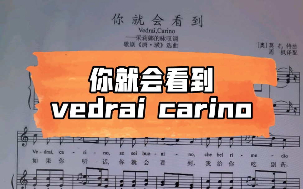 意大利声乐作品《你就会看到》vedrai carino歌词范读哔哩哔哩bilibili