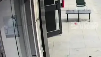 男子刚出店门天降野鸡，擦着身体左侧落下心脏吓到嗓子眼：已掩埋