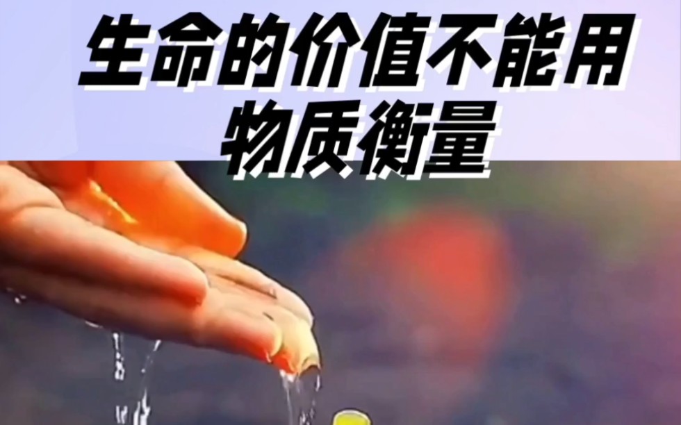 生命的价值不能用物质衡量
