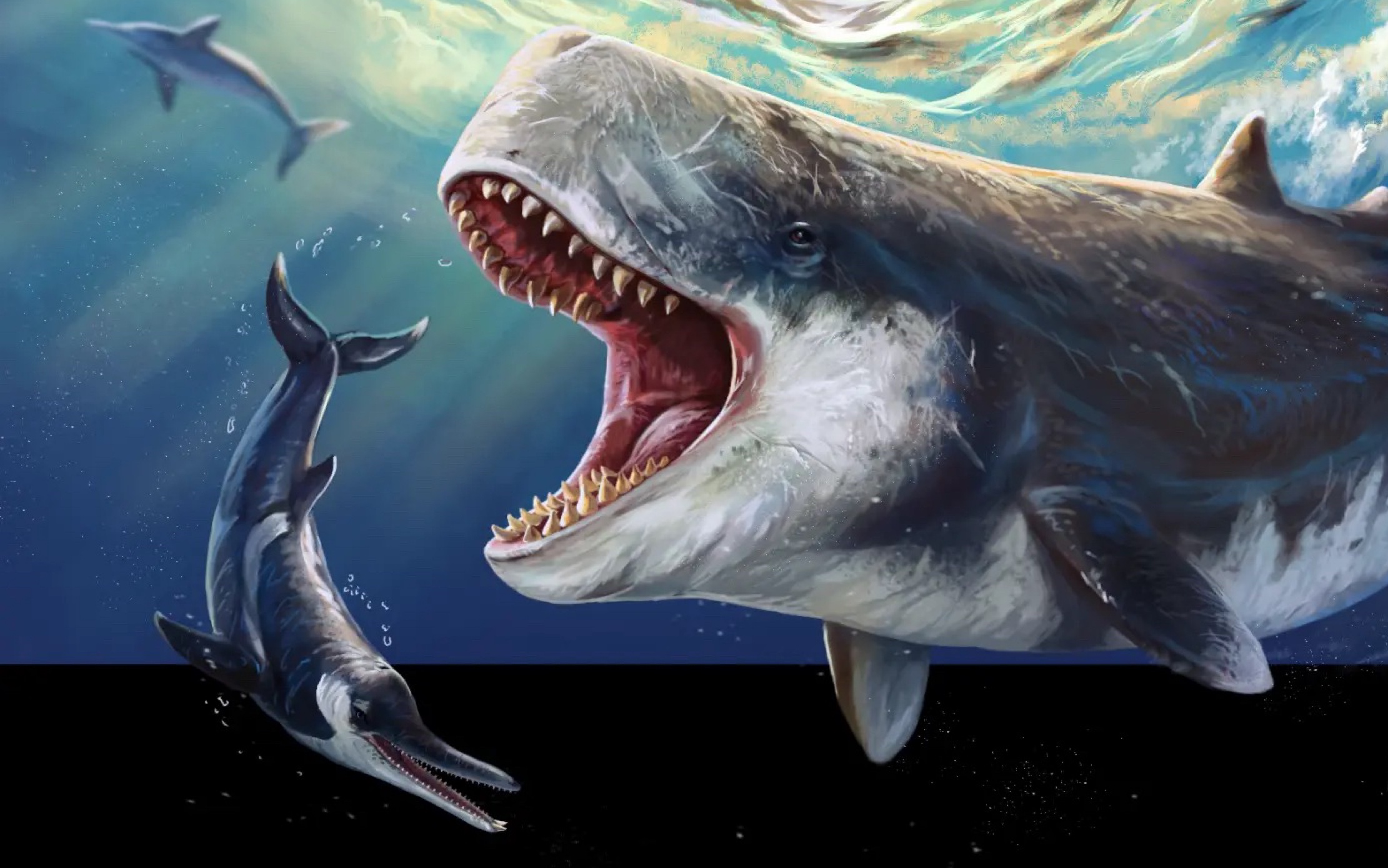 king of the sea-十大海中掠食者排行榜