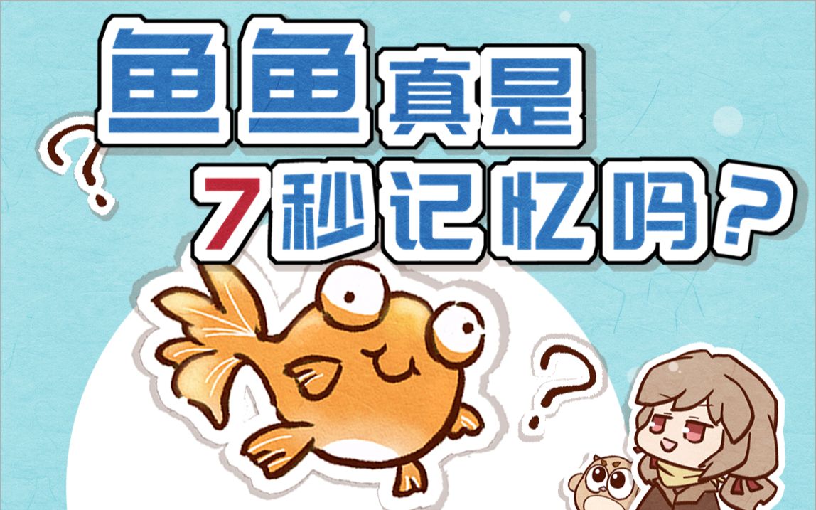 【金鱼】鱼真的只有7秒记忆吗?