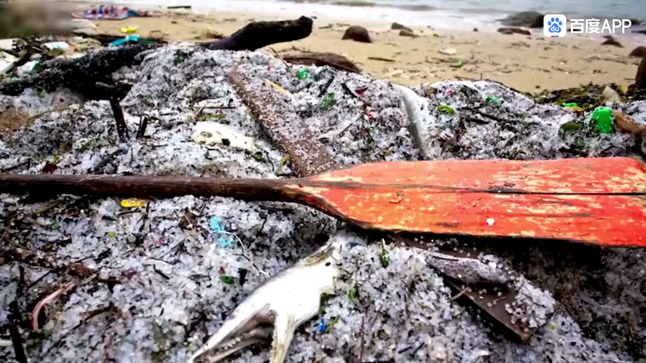 海洋塑料污染之忧
