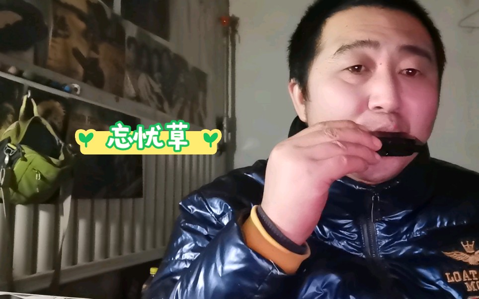 忘忧草忘了就好,很治愈的一首老歌哔哩哔哩bilibili