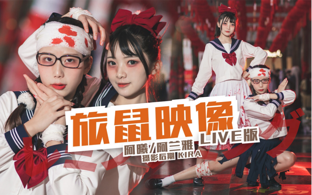 【遵义海之翼】 レミングミング(旅鼠映像) 【阿曦x阿兰雅】_哔哩哔哩