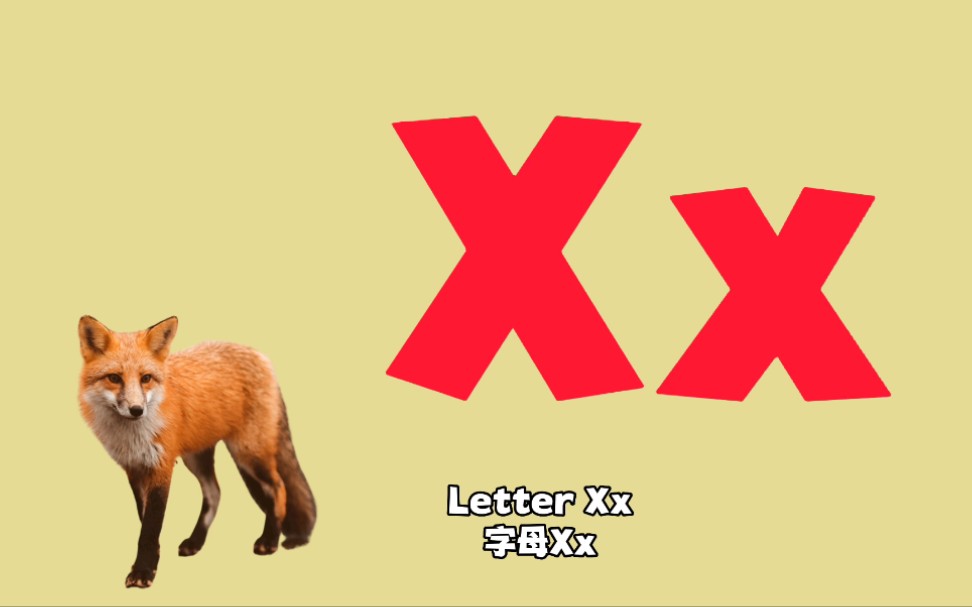 【英文字母】字母xx,跟着视频学习26个英文字母,轻松搞定英语启蒙