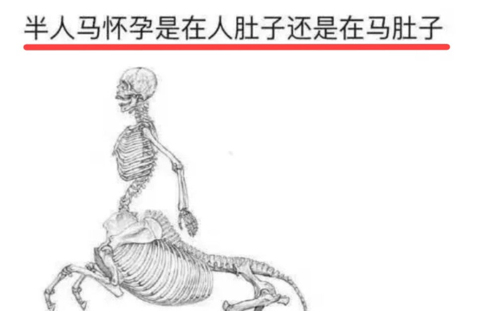 [图]半人马怀孕是在人肚子还是在马肚子？