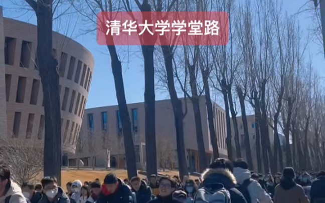 清华大学的学堂路!哔哩哔哩bilibili