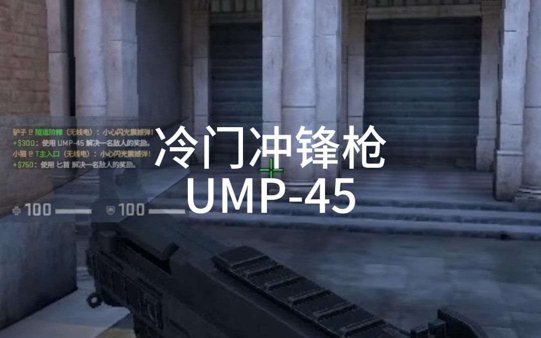 冷门冲锋枪UMP45