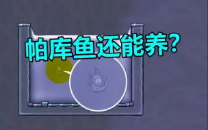 Download Video: 【缺氧收藏】怎么能少得了鱼肉？帕库鱼养殖模块更新