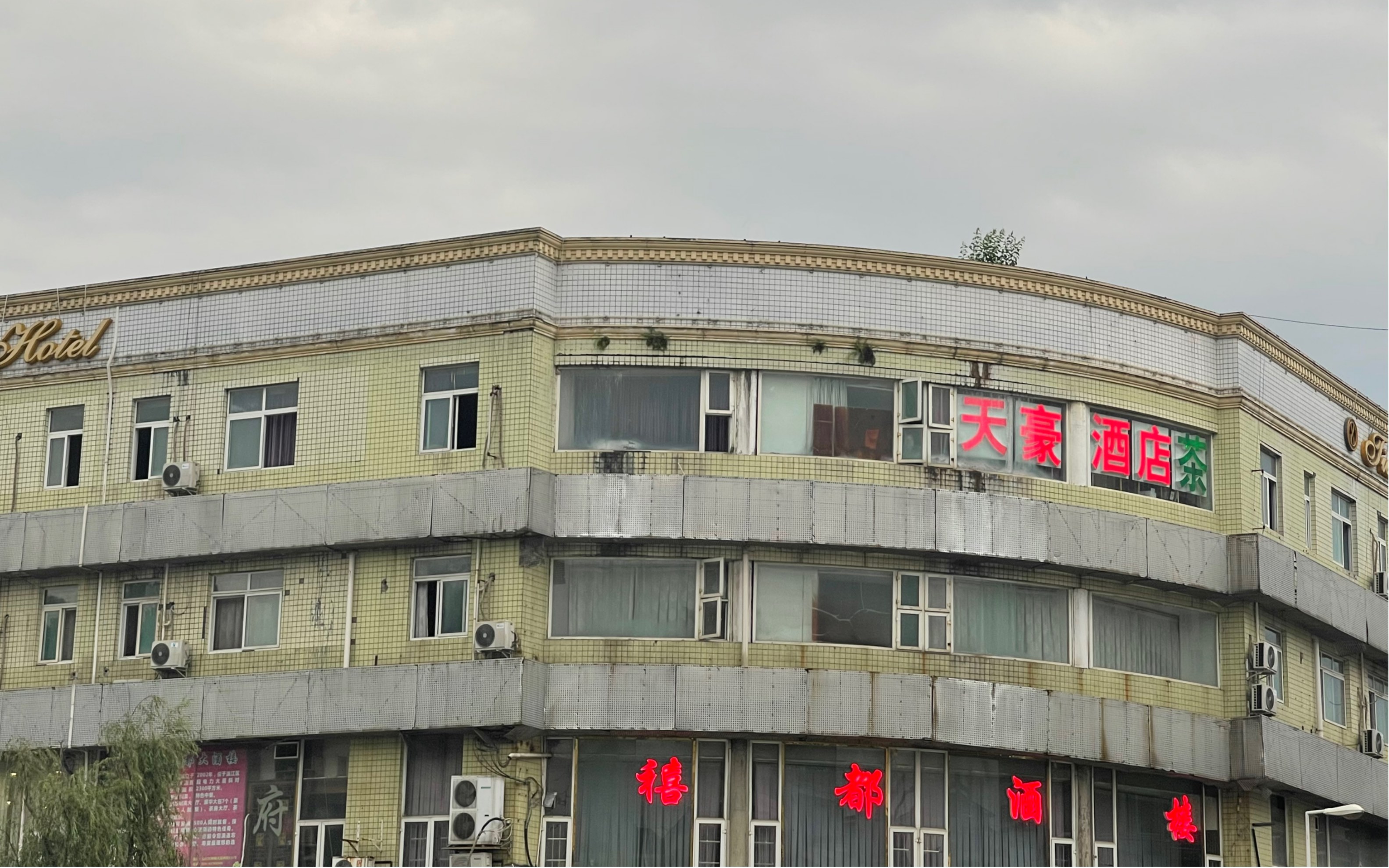 伶伶和桃子-天豪酒店门前孩子的洪水