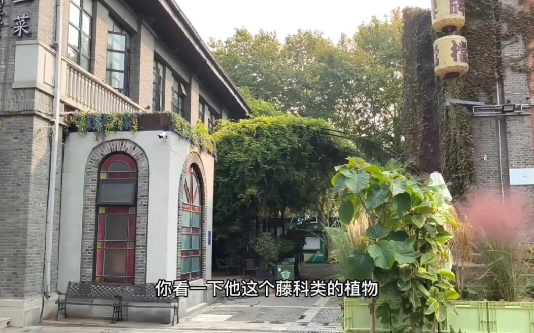 [图]南京1912街区，十几年前来玩过印象极为深刻