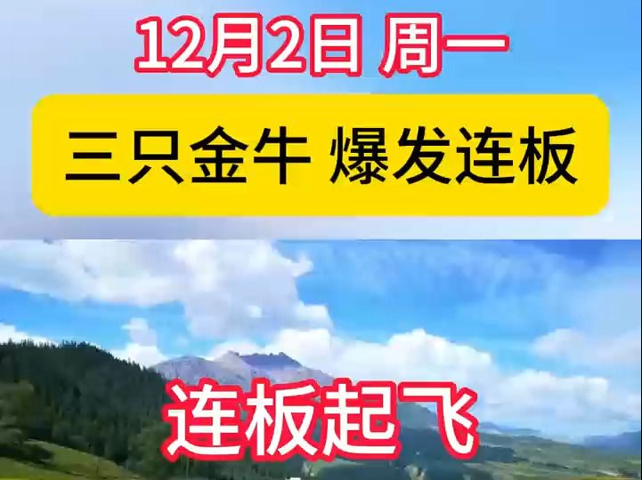 三只金牛 爆发连板 周一12月2日哔哩哔哩bilibili