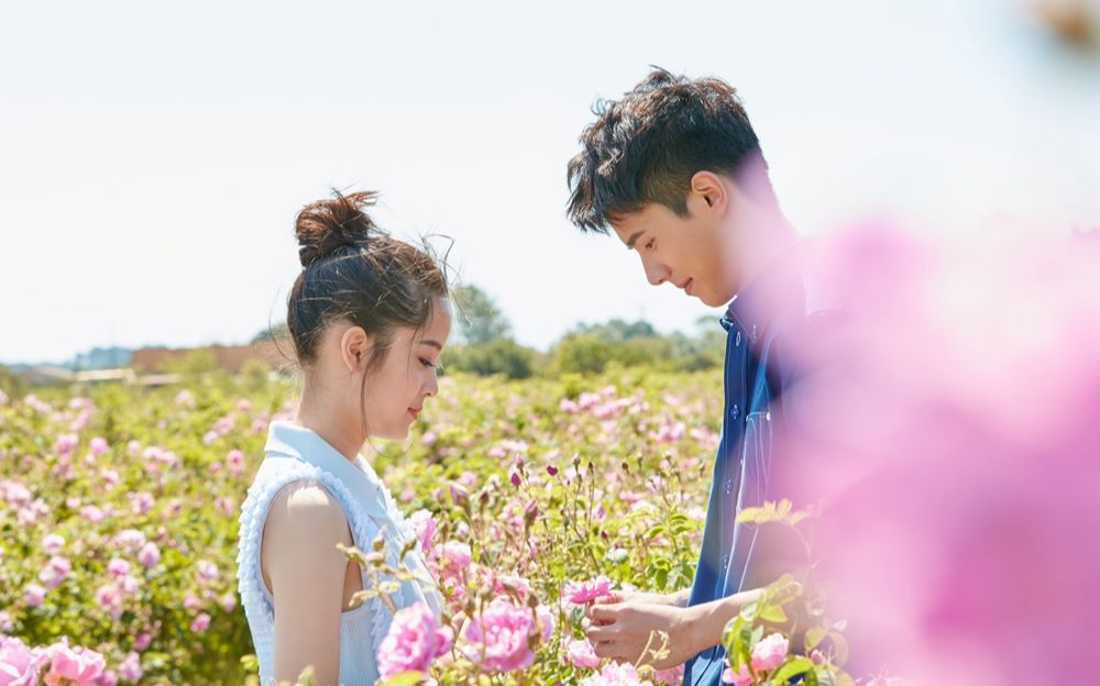 爱大提琴的娜娜nana