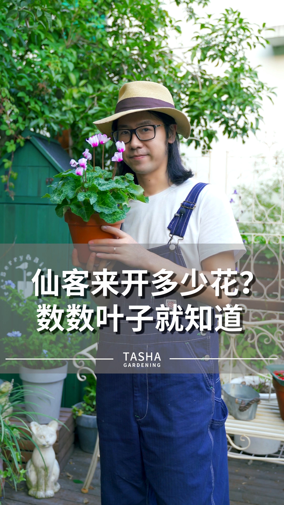 有多少叶子就能开多少花的神奇植物—仙客来哔哩哔哩bilibili