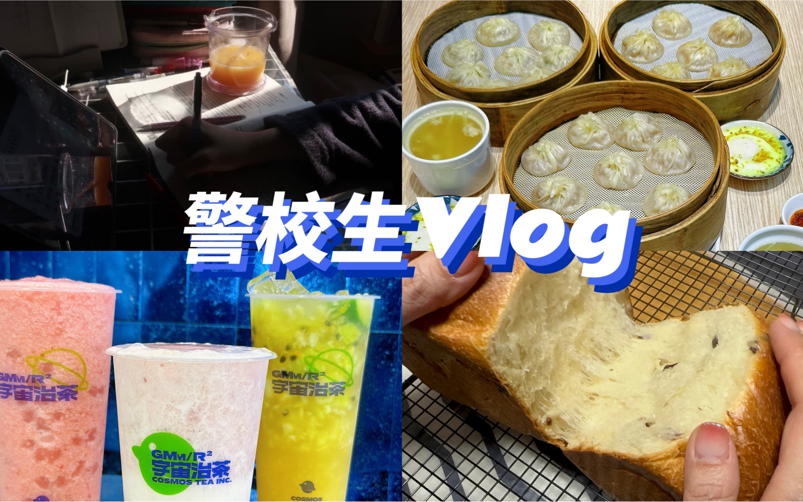 警校生Vlog|103天寒假日记|备考|一日三餐|招猫逗狗哔哩哔哩bilibili