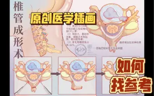 Download Video: 【医学插画】原创第一步：分享一些我画画时找资料的方法