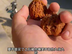 下载视频: 话说便宜的文玩核桃能玩出来吗