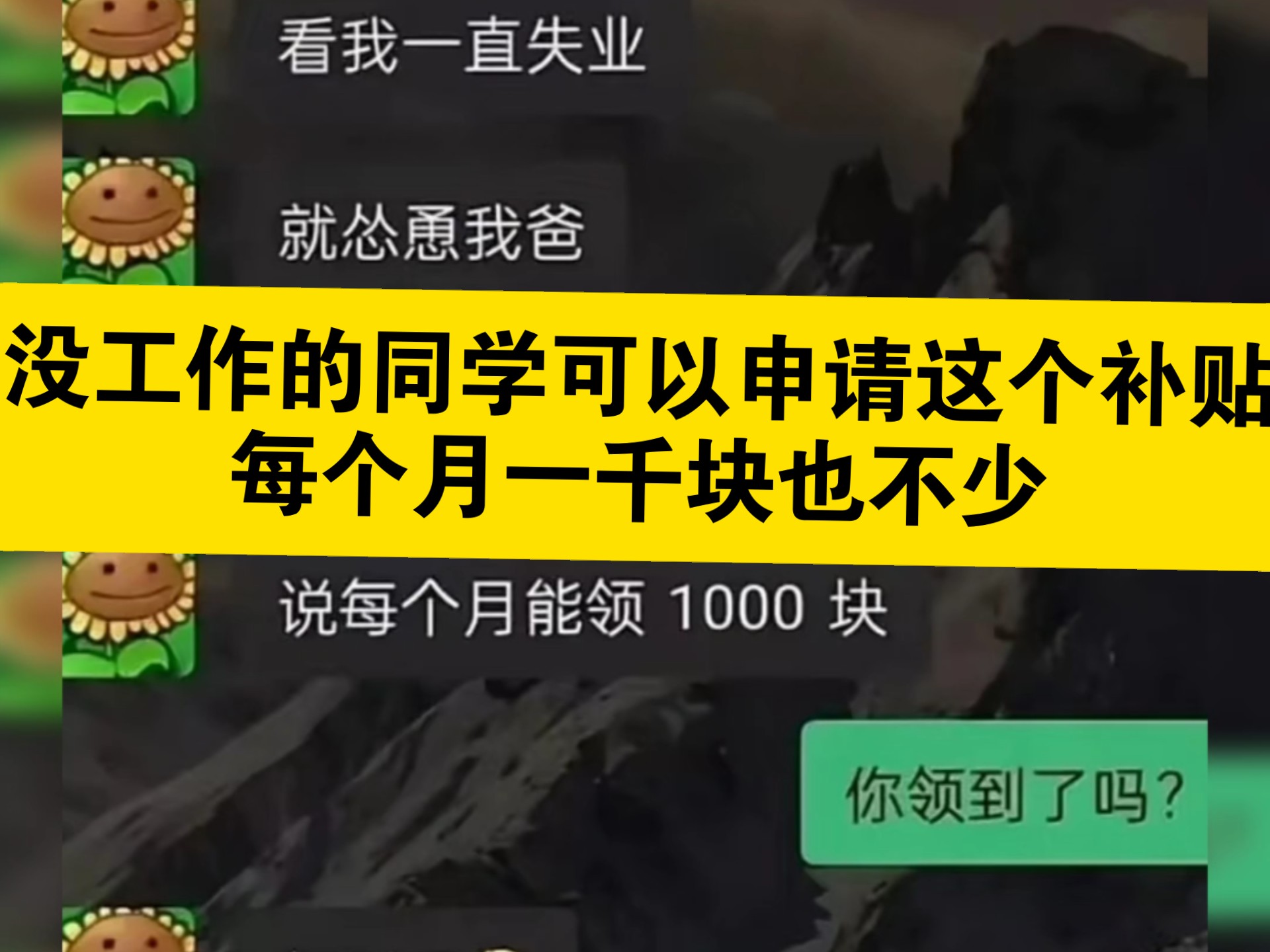 没工作的同学可以申请这个补贴,每个月一千块也不少哔哩哔哩bilibili