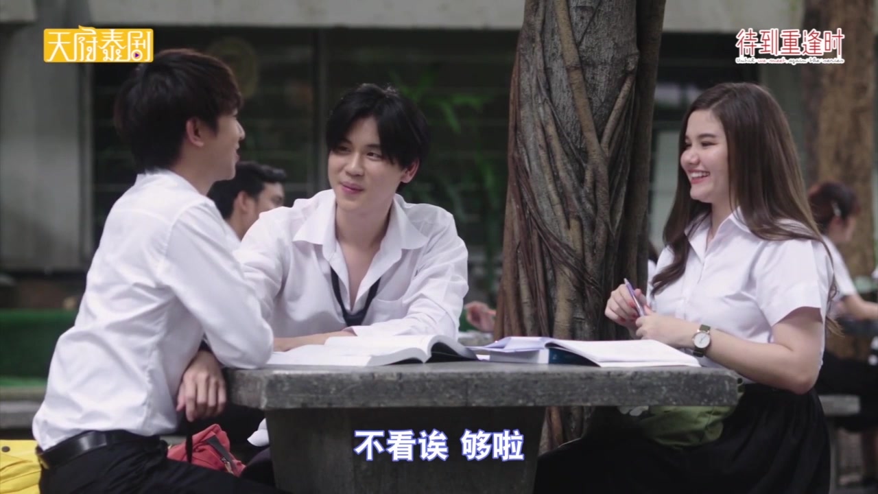 活动  【待到重逢时】多多后宫团聊天 多多吃醋