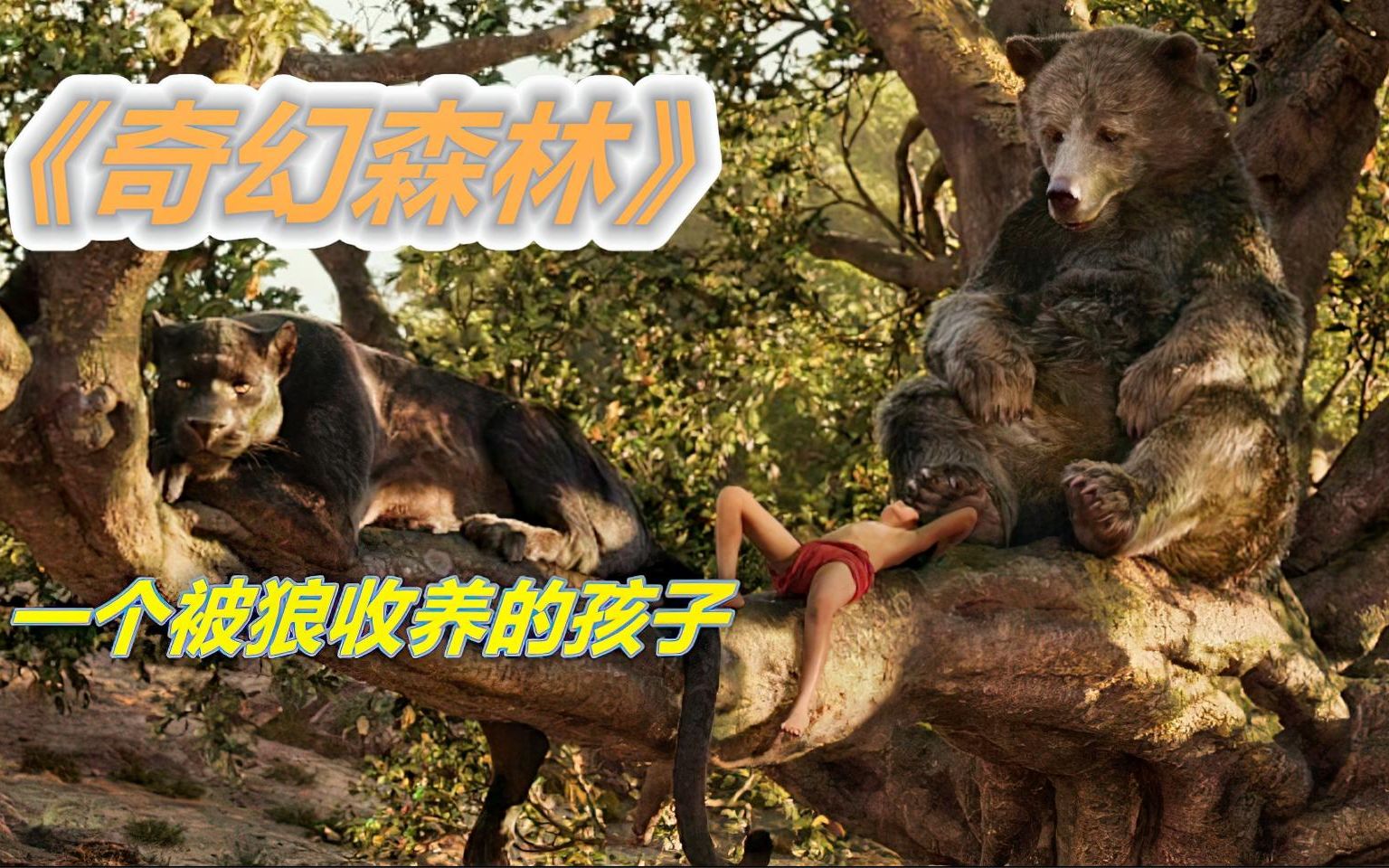 奇幻森林被狼群收养长大的狼孩长大后智斗丛林霸主