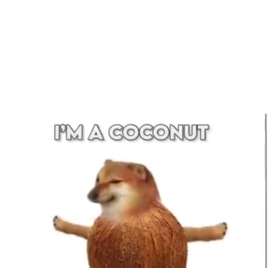 [图]I'm a coconut