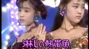 高画质 Wink 淋しい熱帯魚19 哔哩哔哩 つロ干杯 Bilibili