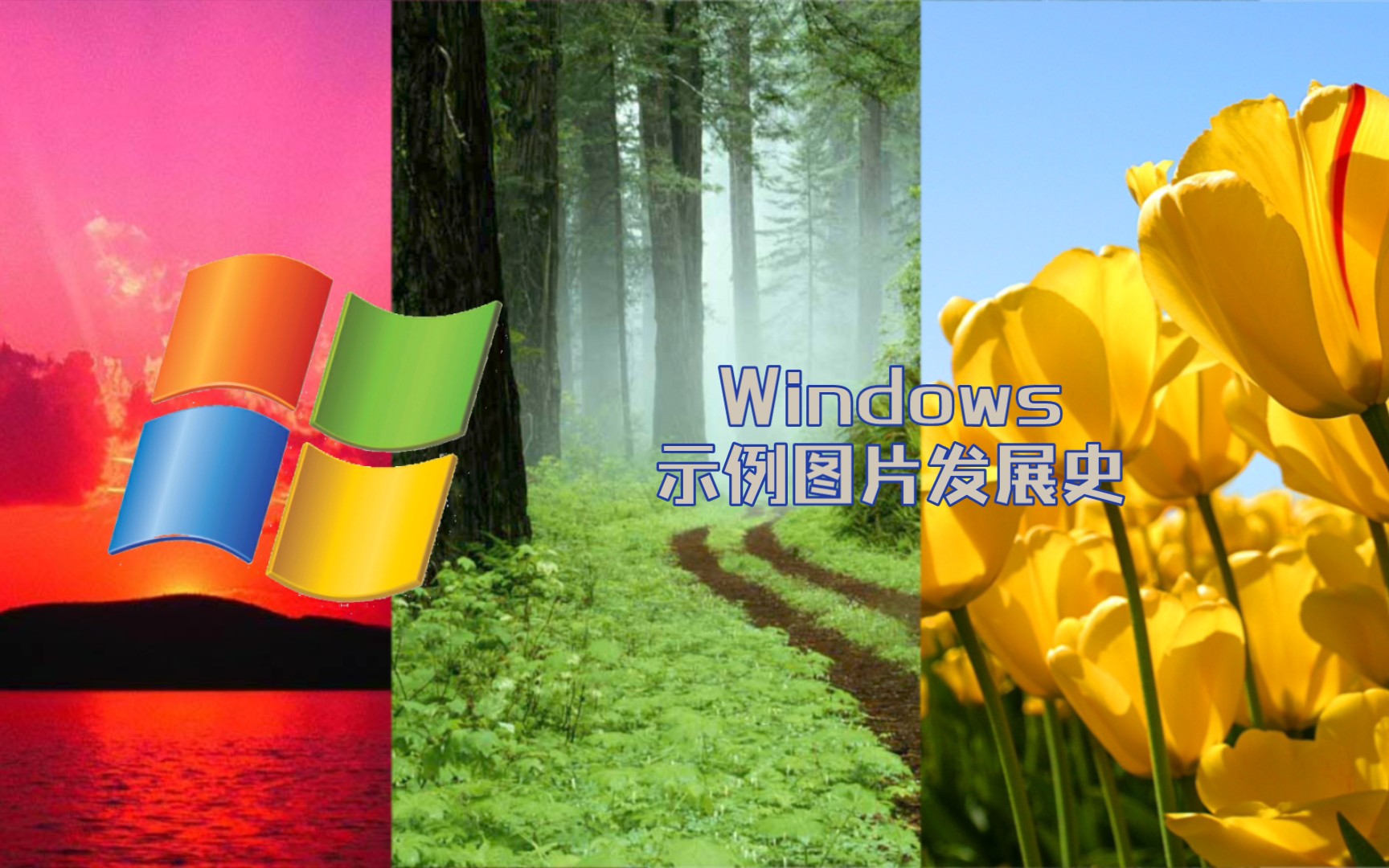 Windows示例图片发展史哔哩哔哩bilibili