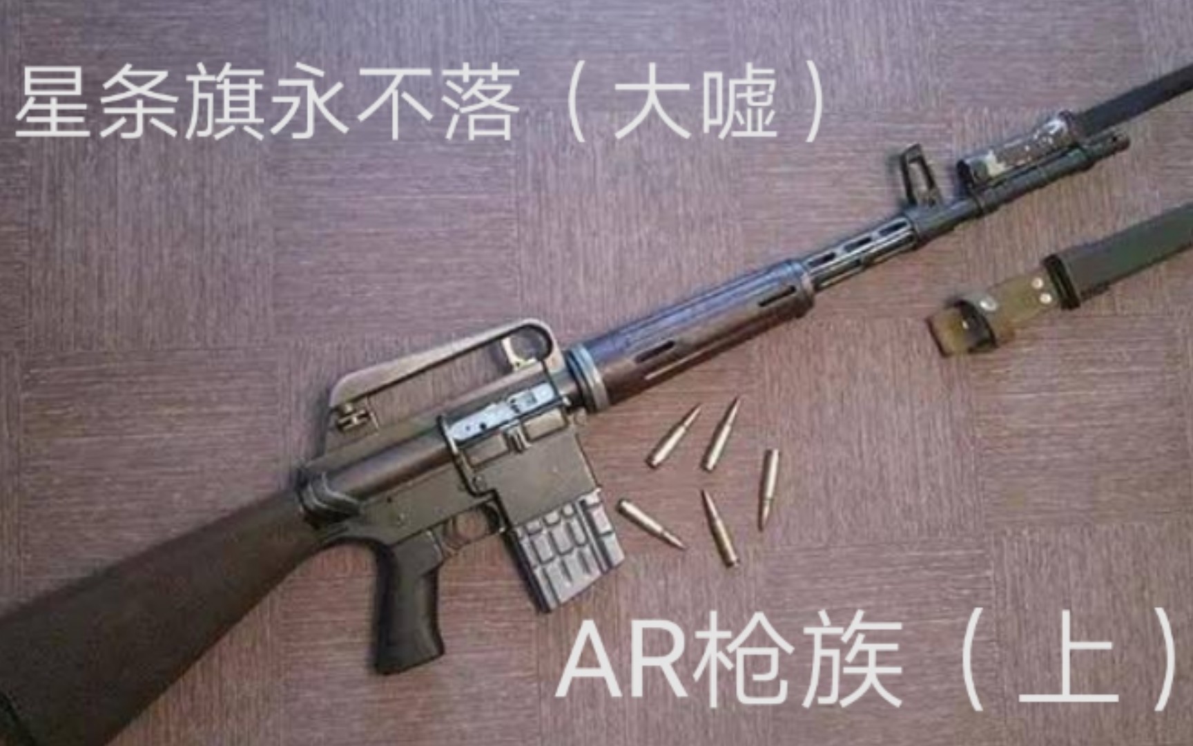 [图]星条旗永不落（大嘘）——AR枪族（上篇）